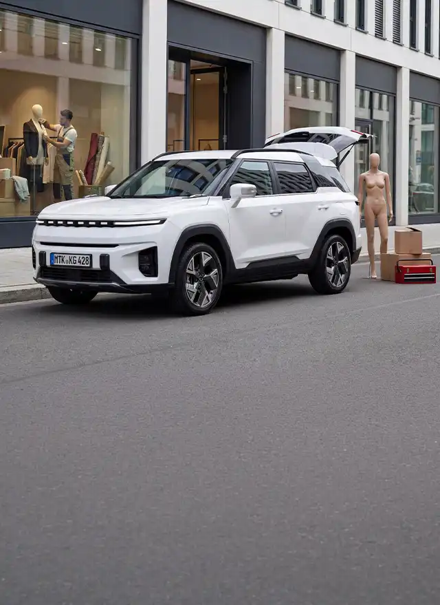 Torres EVX Cargo Van