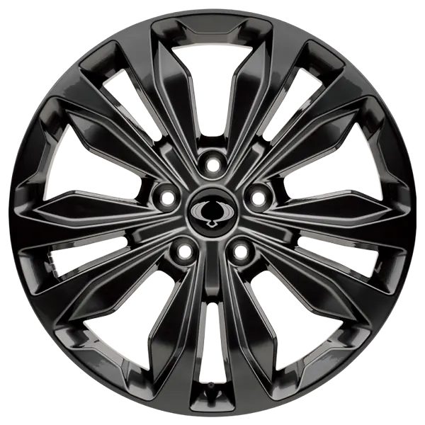 20 Black Alloy Wheels